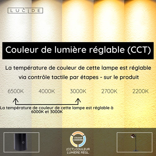 Lucide SKANSKA RECH - Lampe de bureau Rechargeable Intérieur/Extérieur - Batterie/Piles - LED Dim. - CCT - 1x3W 3000K/6000K - IP44 - Café - USP